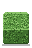 Box Hedge