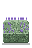 Lavender Border