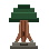 The Elder Yew