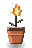 Flame