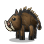 Boar